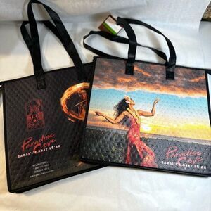 NEW Hawaii Insulated Bag Bundle - Lit if 2 NEW Hot/Cold Insulated Bags from Oahu